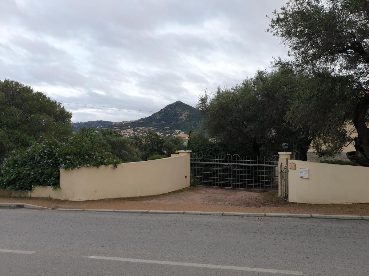 Villa Athena LʼÎle-Rousse Exteriér fotografie