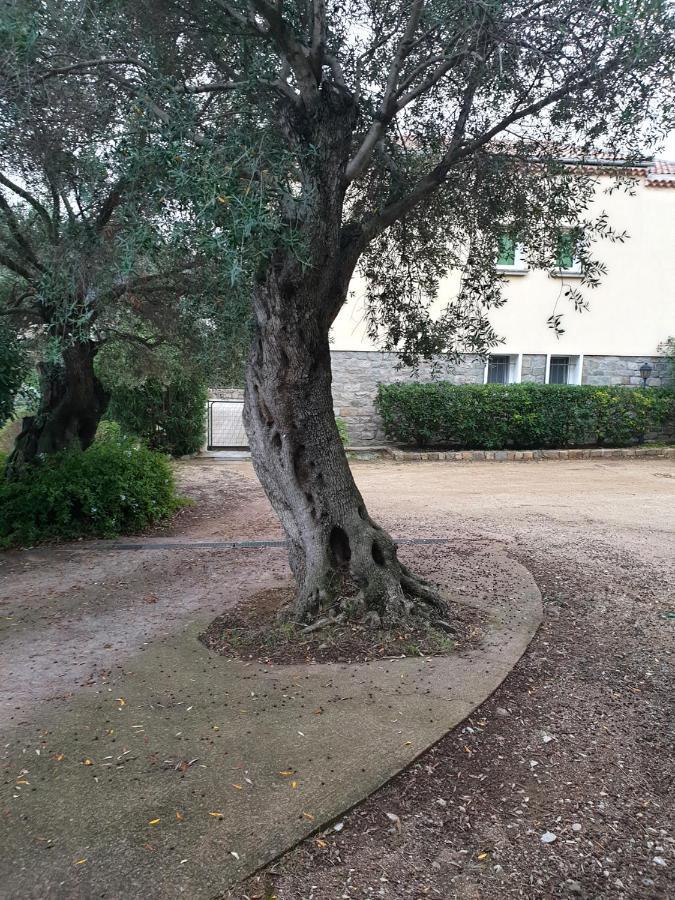 Villa Athena LʼÎle-Rousse Exteriér fotografie